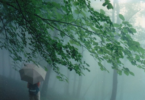 Rain2